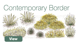 Contemporary Border
