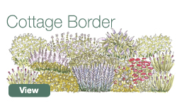 Cottage Border